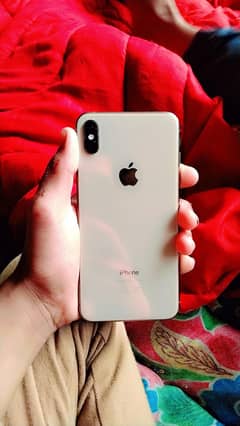 xs max