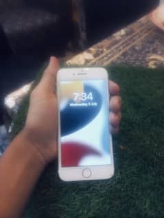 Iphone 7 Pta Approved