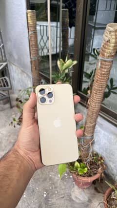 iPhone 12 Pro Max 256gb 85% Dual PTA