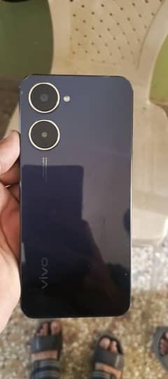 vivo