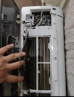 Haier