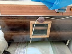 Incubator