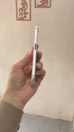 Silver colour