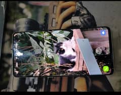S10 plus