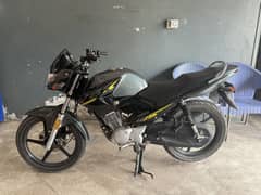 Yahama YBR 125 model 2024