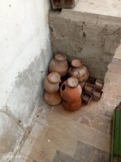 caage