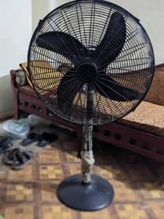 Rado Fan