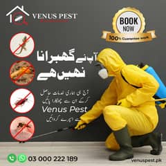 mosquito spray/demak control/Cockroches solution/Bed bugs/pest contro