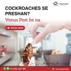 Fumigation/Pest