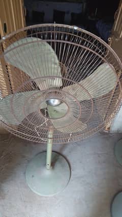 pedestal fans
