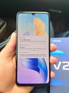 vivo