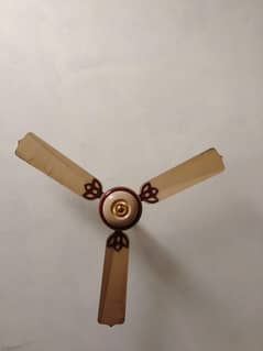 ceiling