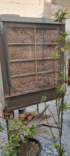 Air cooler