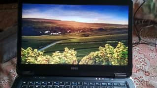 dell laptop