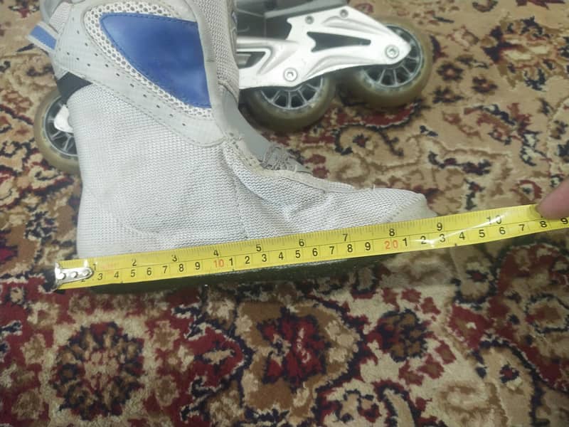 skating shoes 1