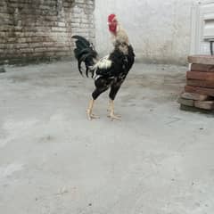 active