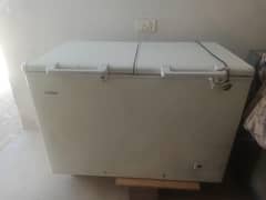 Haier Freezer