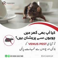 Fumigation Services,Termite control,Deemak control,Dengue Spray, Pest