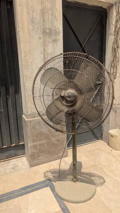 Pak Fan full size Pedestal Fan