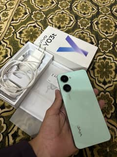 vivo