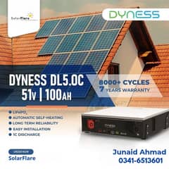 Dyness 51.2v 100ah 8000 life cycle 7 years warranty Lithium Battery