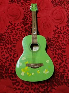 Green Acoustic Guitar – Heavy Body