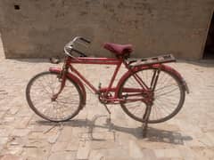 Cycle