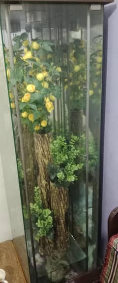 Mirror Decoration Frame