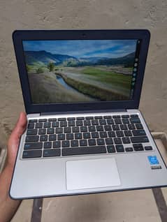 Asus Chromebook