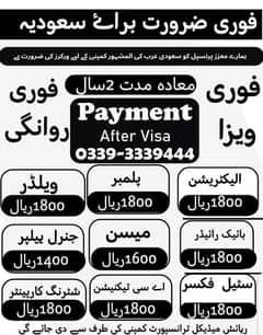 Visa's