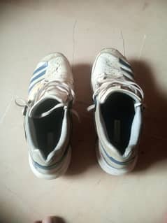 adidas shoes