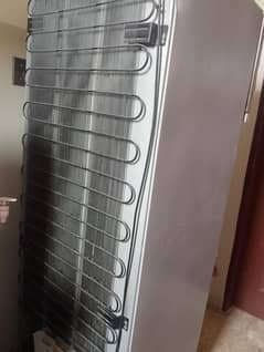 Haier