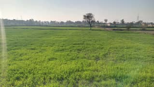 124 Kanal Agriculture and Commercial Land Available in Kasur Burj Road, Gandha Singh