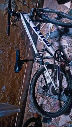 sport cycle
