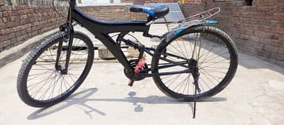 beautiful cycle with low price