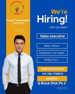 Sales Executive