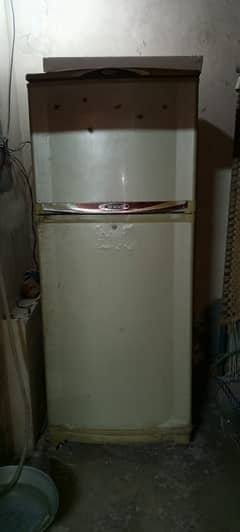 Waves fridge