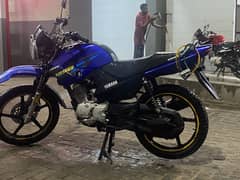 Yamaha YBR G 125CC - Mint Condition