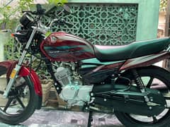 Ybz 125-Dx available for sale in mint condition
