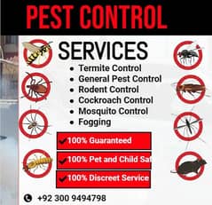 Pest Control/Termite Control/Fumigation Spray/Deemak Control Services