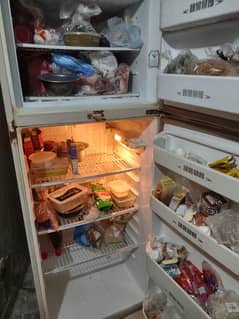 frige