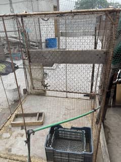 used cage for pigen or goat (penjara )