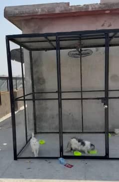 big size cages for sale
