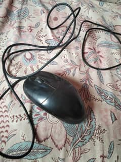 Mouse