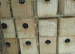 breeding box