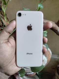 iphone 8 64gb non pta all ok 10/10