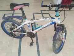 l am selling a bicycle just serious buyer contact me