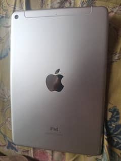 ipadmini 5