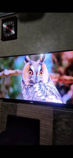 4k led china nishan he side pr magr bilkul tekh chalti he 50 inch