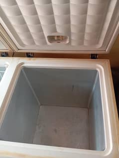 selling freezer